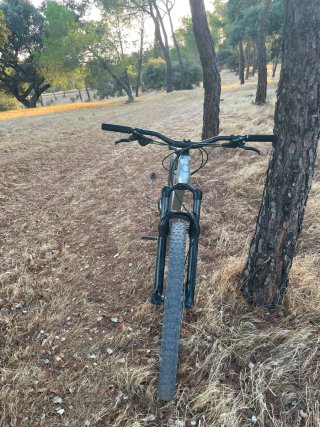 Cannondale Habit HT 1 2024