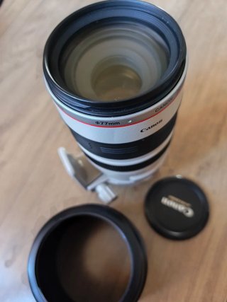 Canon EF 100-400mm f/4.5-5.6 L IS USM