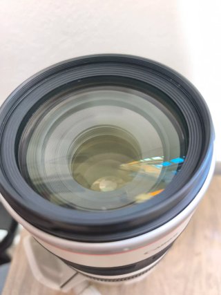 Canon EF 100-400mm f/4.5-5.6 L IS USM