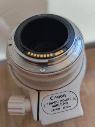 Canon EF 100-400mm f/4.5-5.6 L IS USM