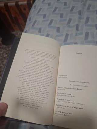 Cuentos fantásticos del XIX Lo fantástico visio...