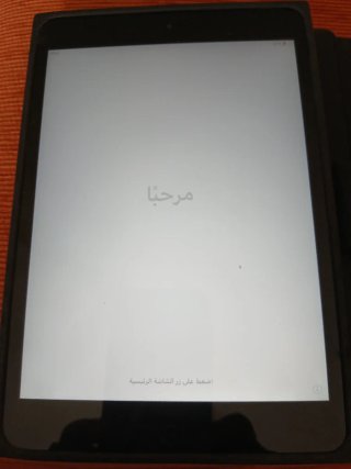 iPad mini 2 Gris Espacial