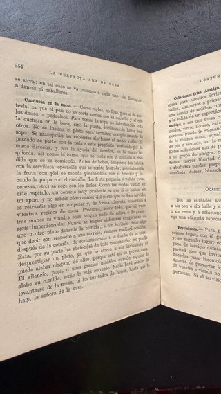 Libro La Perfecta Ama de Casa