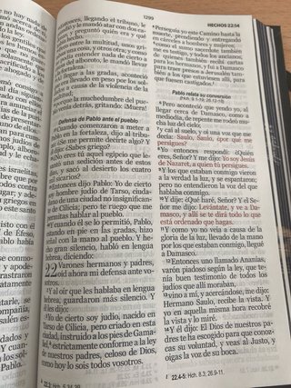 Biblia RVR 1960 letra grande leon