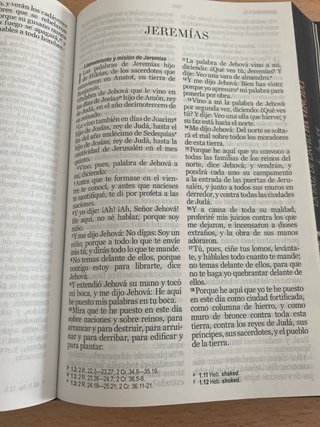 Biblia RVR 1960 letra grande leon