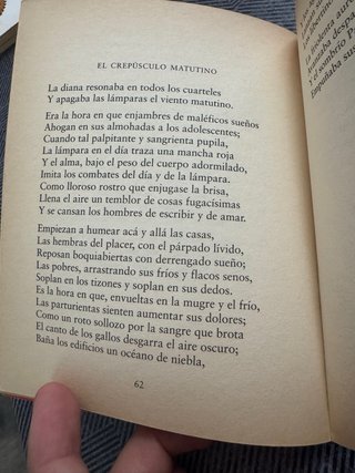 Libros antiguos poesía