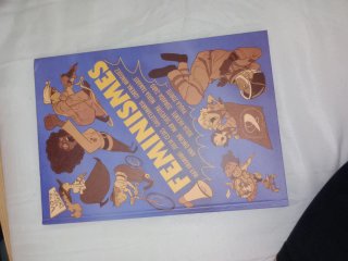 Libro Feminismes