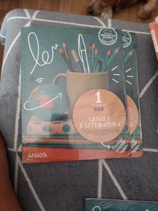 Lengua y literatura 1 ESO
