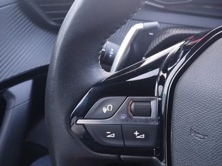 Peugeot 2008 BlueHDi 130 S&S Allure EAT8 96 kW (130 CV)