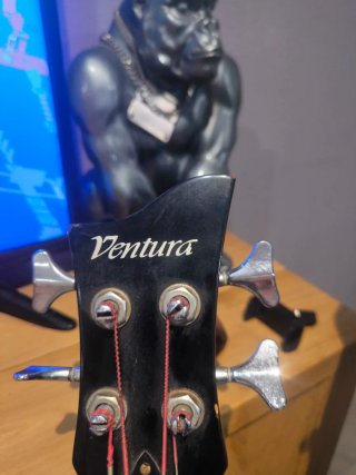 Pack Vintage: Bajo Violín Ventura 70s + Ampli Mars
