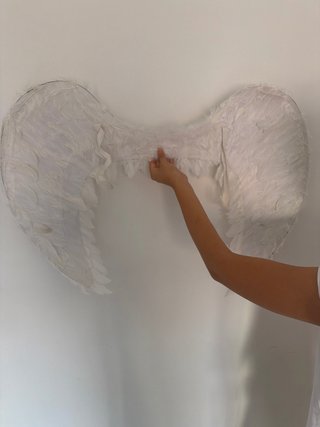 Alas de demonio y ángel rojas y blancas