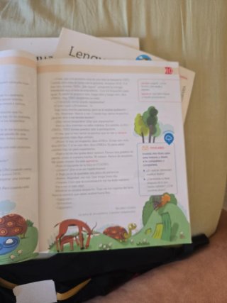 Lengua castellana 4 Primaria