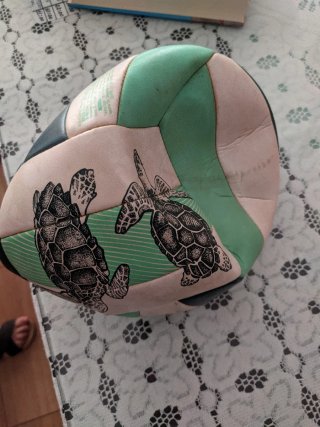 Palloni da pallavolo gialli e bianchi con dettagli