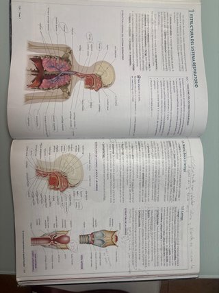 Anatomía aplicada