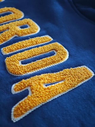 Sudadera Sfera Men Florida con Capucha Azul