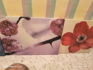 Cuadro lienzo ramas escarchadas. Uno 4€ los 3/10€