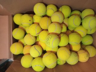 50 Pelotas de Tenis Usadas