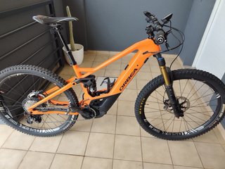 Orbea Wild MLTD Carbono