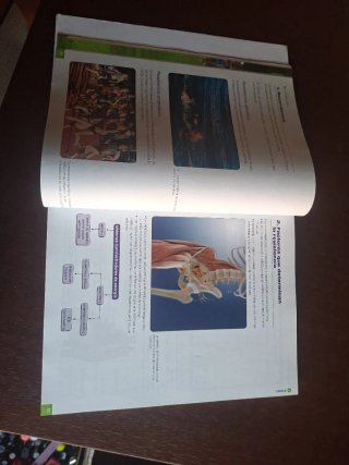 Educación física, 3-4 ESO