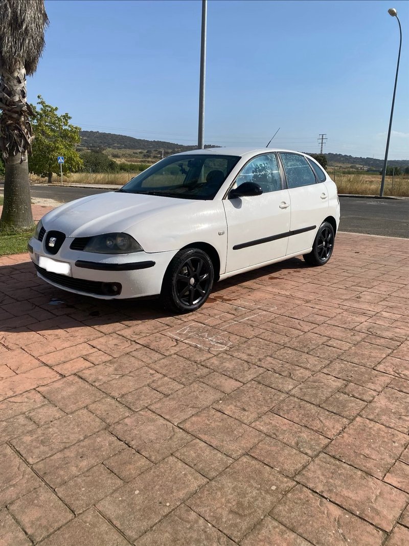 SEAT IBIZA 1.9 TDI - foto 1