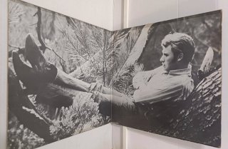DISCO VINILO JOHNNY HALLYDAY