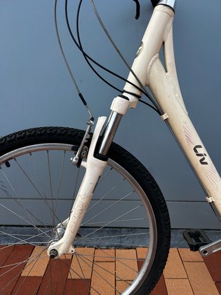 Bici Híbrida Liv Talla S Revisada