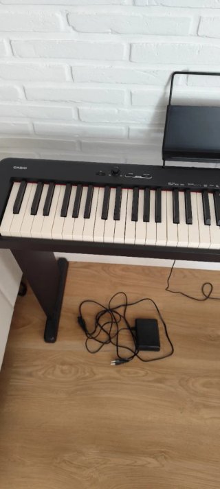 Piano Casio CDP s100 + Soporte