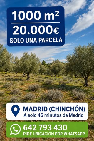 PARCELA 1000 M2 VENTA 2