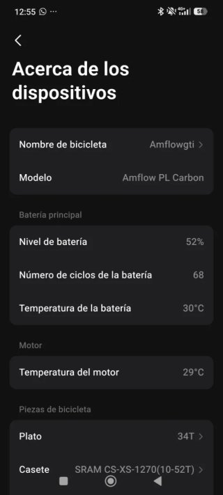 Alfow PL CarbonTalla M 2025 3.700km
