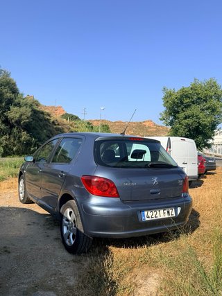 Peugeot 307 2008