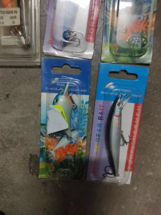 Pesca