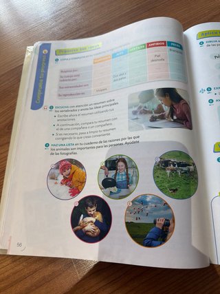 Conocimiento del medio 3 Primaria : Proyecto Co...