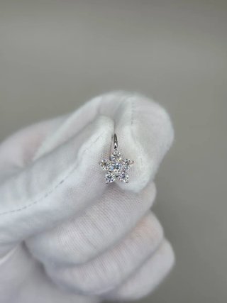 Pendientes Flor Plata 925 y Moissanita
