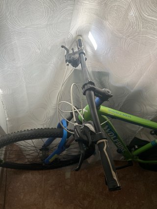 Bicicleta Wolfbike Verde y Azul