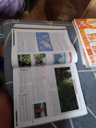 Geografía e Historia 1 ESO