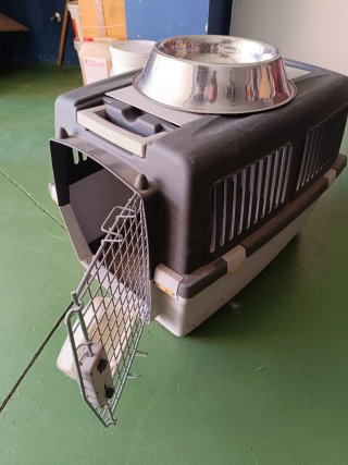 Transportín rígido para mascotas