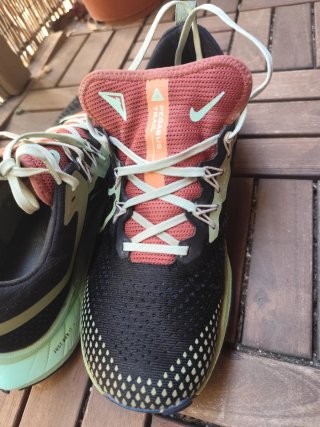 Zapatillas Nike Pegasus Trail 4 Azul/Verde