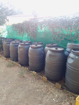 Lote 14 bidones 220L