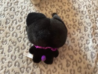 Peluche Gato Negro The Beebox
