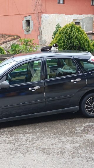 Ford Focus 2002