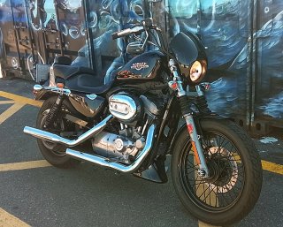 Harley Davidson Sportster 883 Low Negra