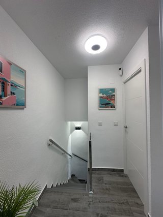 Alquiler vacacional en Torrevieja Lago Jardin