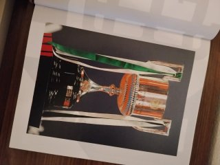 La copa de todos los beticos