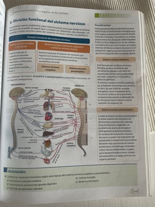 Técnicas básicas de enfermería