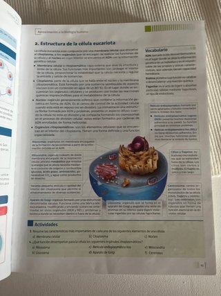 Técnicas básicas de enfermería