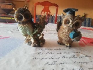 Figuras de búhos decorativos