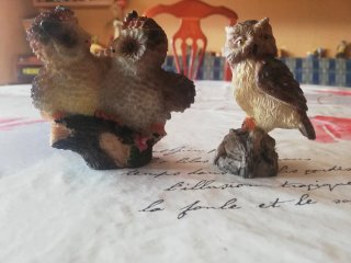 Figuras de búhos decorativos