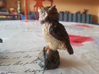 Figuras de búhos decorativos