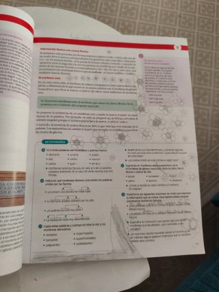 Lengua castellana y literatura 1 Bachillerato