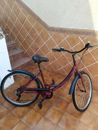 Bicicleta de ciudad yinxing